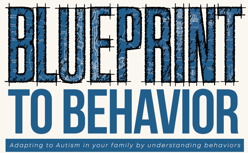 Blueprint To Behavior Book